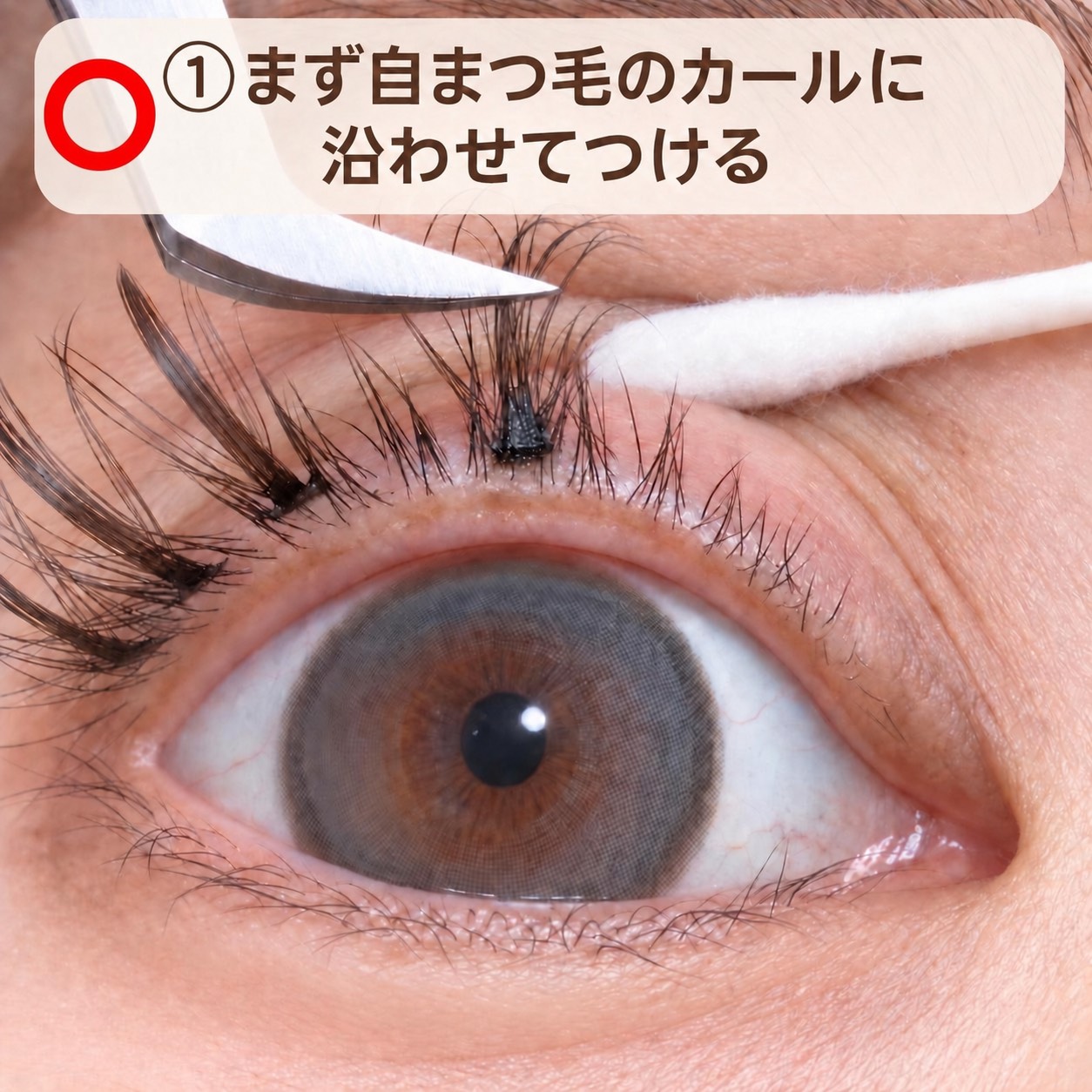 自まつげのカールに沿わせてつける