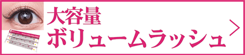 大容量